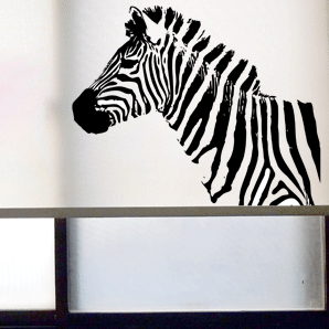 zebra A